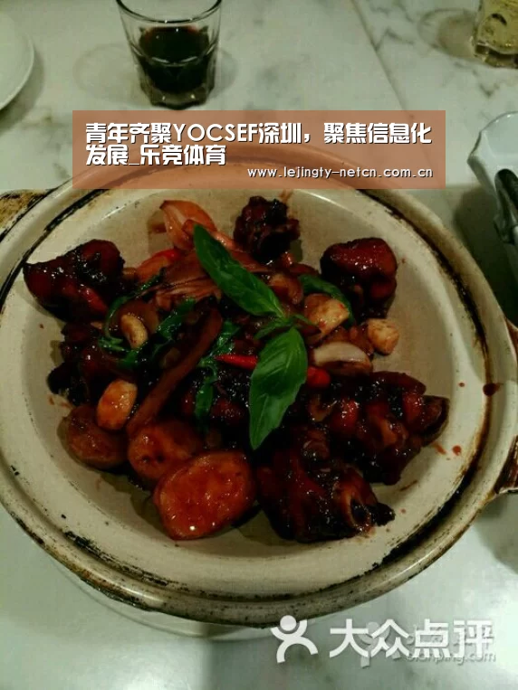 青年齐聚YOCSEF深圳,聚焦信息化发展_乐竞体育(图1) 青年齐聚YOCSEF深圳,聚焦信息化发展_乐竞体育(图1)